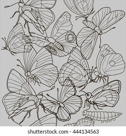 butterfly vector pattern