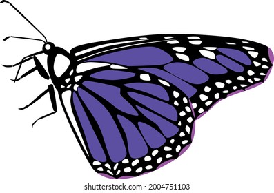 butterfly vector in purple color, Can be  used for Logo, Brands, Goods, painting, Vector.