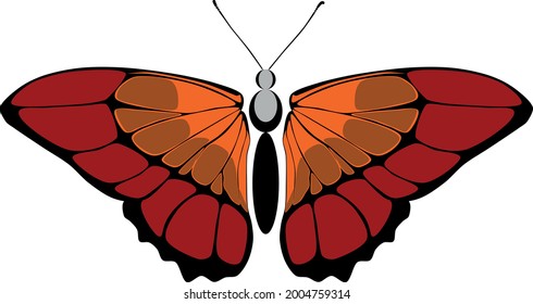 butterfly vector in red and brown color, Can be used  for Logo, brand, goods, vector.