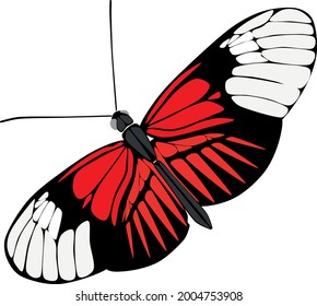 butterfly vector in red color. Can be used for logo, brand, goods, vector.