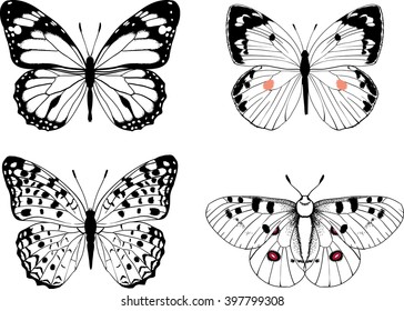 Conjunto vetorial borboleta de 4 inseto desenho à mão