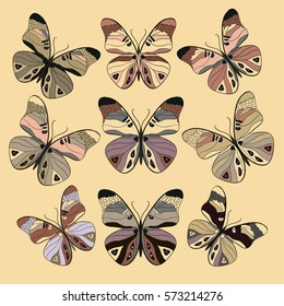 Butterfly vector set. Elegant beige collection of colorful butterflies.