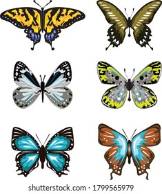 Butterfly vector set etc, isolated on white background for book illustration - Vector