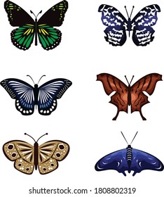 Butterfly vector set etc, isolated on white background for book illustration - Vector