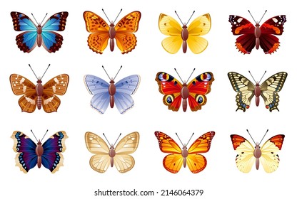 Conjunto de vectores de mariposa. Ilustración de insectos. Animal mariposa aislado. Monarca amarilla, morfo azul, ojo de pavo real, cola tragada. Diseño artístico. Colección de primavera realista, fondo blanco. Verano tropical