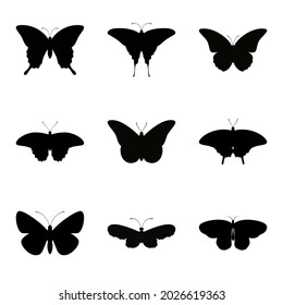 Butterfly vector set isolated on white background