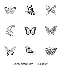 Butterfly vector set. Simple butterfly shape illustration, editable elements, can be used in logo design