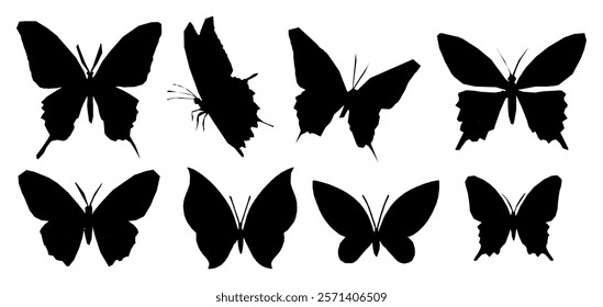 Butterfly vector silhouette with black pattern. Tattoo design on background with cute wings. Simple graphic icon and outline. Magical insect art element for summer.