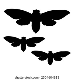 butterfly vector silhouette design. black on a white background.