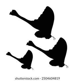 butterfly vector silhouette design. black on a white background.