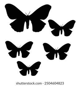 Diseño de la silueta del Vector de la mariposa. negro sobre un fondo blanco.