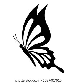 A Butterfly Vector and silhouette illustration with white background
