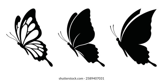 A Butterfly Vector and silhouette illustration with white background