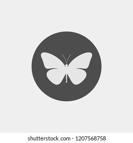 Butterfly vector silhouette. Insect vector silhouette