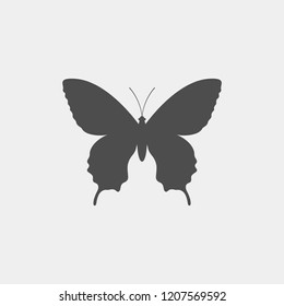Butterfly vector silhouette. Insect vector silhouette