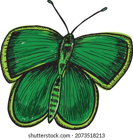 Butterfly vector sketch illustration isolated on white background. Abstract minimal vector illustration. Can be used for greeting cards, flyers, invitations, web design, etc