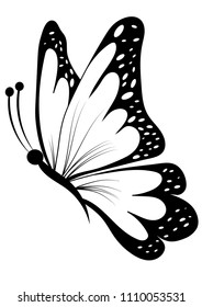 butterfly vector sticker tattoo template