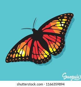butterfly vector tosca