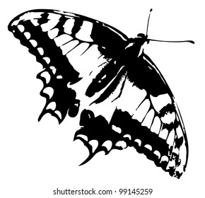 Butterfly vector trace