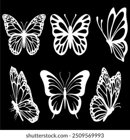butterfly vectors images in white colours sssss