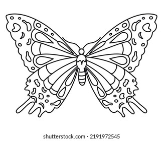 Butterfly. Vintage vector drawing. Flat outline style. Close-up. Used for stencils, coloring books, clipart, web design. 
