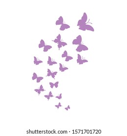 Butterfly wall decoration sticker design vector