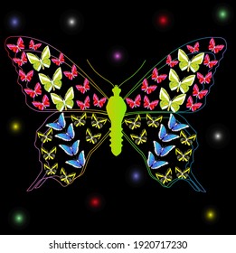 Butterfly wallpaper of various colors that glow on a black background vector design illustration