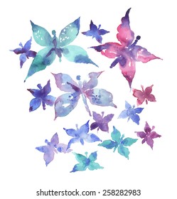 butterfly watercolor