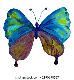 Butterfly Watercolor Illustration; Butterfly Vector Illustration With Blue, Yellow, Orange And Purple Hues; Colorful Butterfly Watercolor