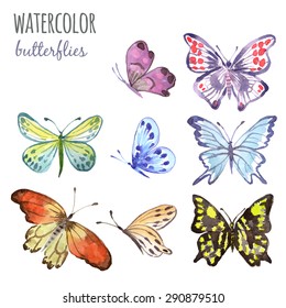 Butterfly, watercolor illustration. Vector set isolated of butterflies on white background.