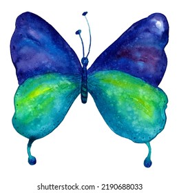 ilustración de la acuarela de mariposa; ilustración vectorial de una mariposa en tonos azules con realce amarillo y verde; acuarela azul aguamarina mariposa