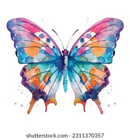 butterfly watercolor, isolated on a white