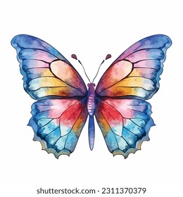 butterfly watercolor, isolated on a white