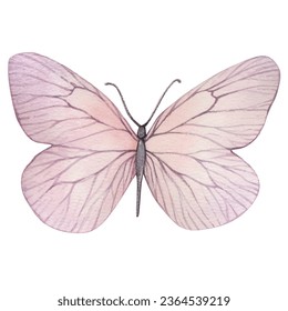 Mariposa acuarela color de rosa suave fondo blanco logotipo mosca insecto verano pequeño decoración infantil sala niños logo decoración de dibujos afiche imagen vectorial alas belleza naturaleza gentil elegante 