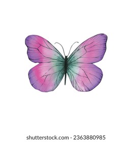Butterfly watercolor pink yellow white background sticker logo fly insect summer little decor room kids logo drawing decoration ethnic 