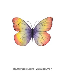 Butterfly watercolor pink yellow white background sticker logo fly insect summer little decor room kids logo drawing decoration ethnic 