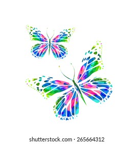 butterfly watercolor. Vector