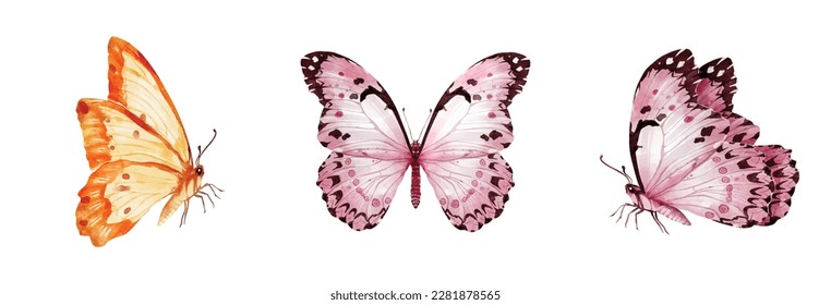 Butterfly watercolor vector elements design isolated on white background. Suitable for decorative spring festivals, Winter, Valentine's Day, invitations, or greeting cards.