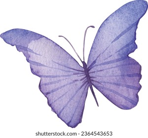 Butterfly watercolor violet blue purple background sticker logo fly insect summer little child decor room kids logo decoration poster print vector illustration wings beauty nature gentle elegant art