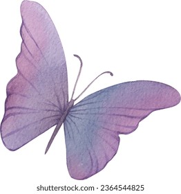 Butterfly watercolor violet purple background sticker logo fly insect summer child decor room kids logo drawing decoration poster print vector illustration wings beauty nature gentle elegant art 