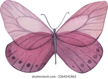 Mariposa acuarela color rosa rojo oscuro pegatina púrpura logo mosca insecto verano pequeña decoración infantil sala niños logo dibujar afiche transparente ilustración vectorial alas belleza naturaleza gentil elegante 