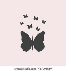 Butterfly web icon. Isolated illustration