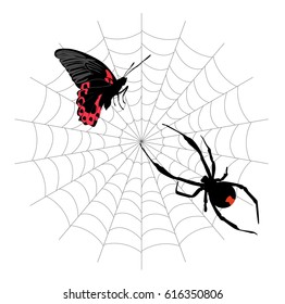 butterfly in the web and the poisonous black widow spider. vector illustration