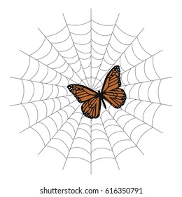 butterfly in the web. vector illustration