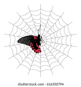 butterfly in the web. vector illustration