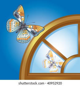 Butterfly, which is reflected in arched window.