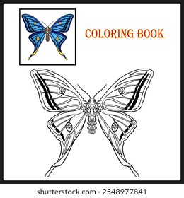 A butterfly with wide wings and a charming color for coloring book