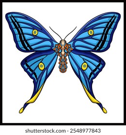 A butterfly with wide wings and a charming color