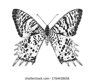 4,471 Monarch butterfly tattoo Images, Stock Photos & Vectors ...