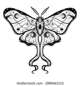 Mariposa o lente Luna silvestre insectos. Símbolo místico o entomológico de la libertad. Esbozo vintage grabado a mano para tarjeta de boda o logotipo. Ilustración vectorial. Animales artrópodos.